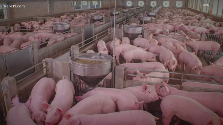 JBS to pay $20 million in pork price-fixing settlement