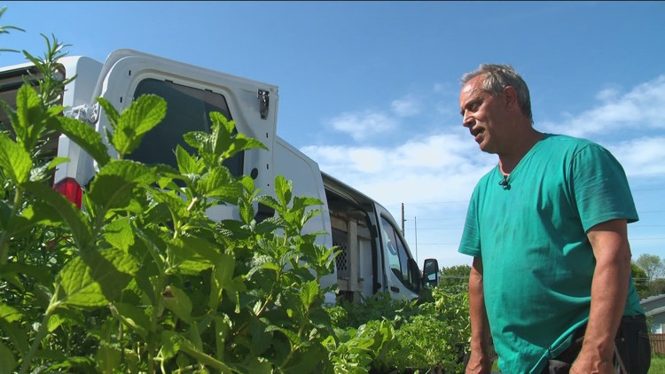 Minnesota farmers markets open for the season