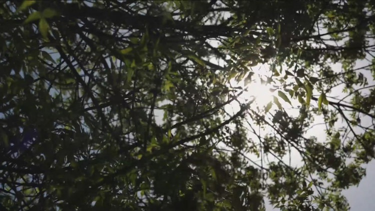 MPCA warns of ozone pollution in Twin Cities and beyond