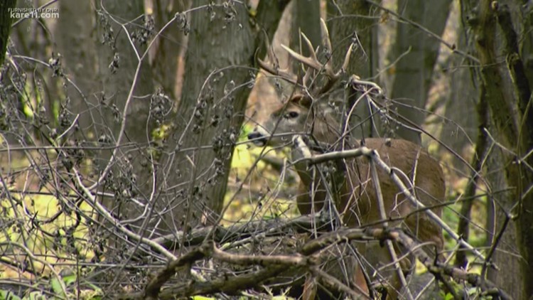 Governor's Deer Hunting Opener to be hosted by Three Rivers Park District