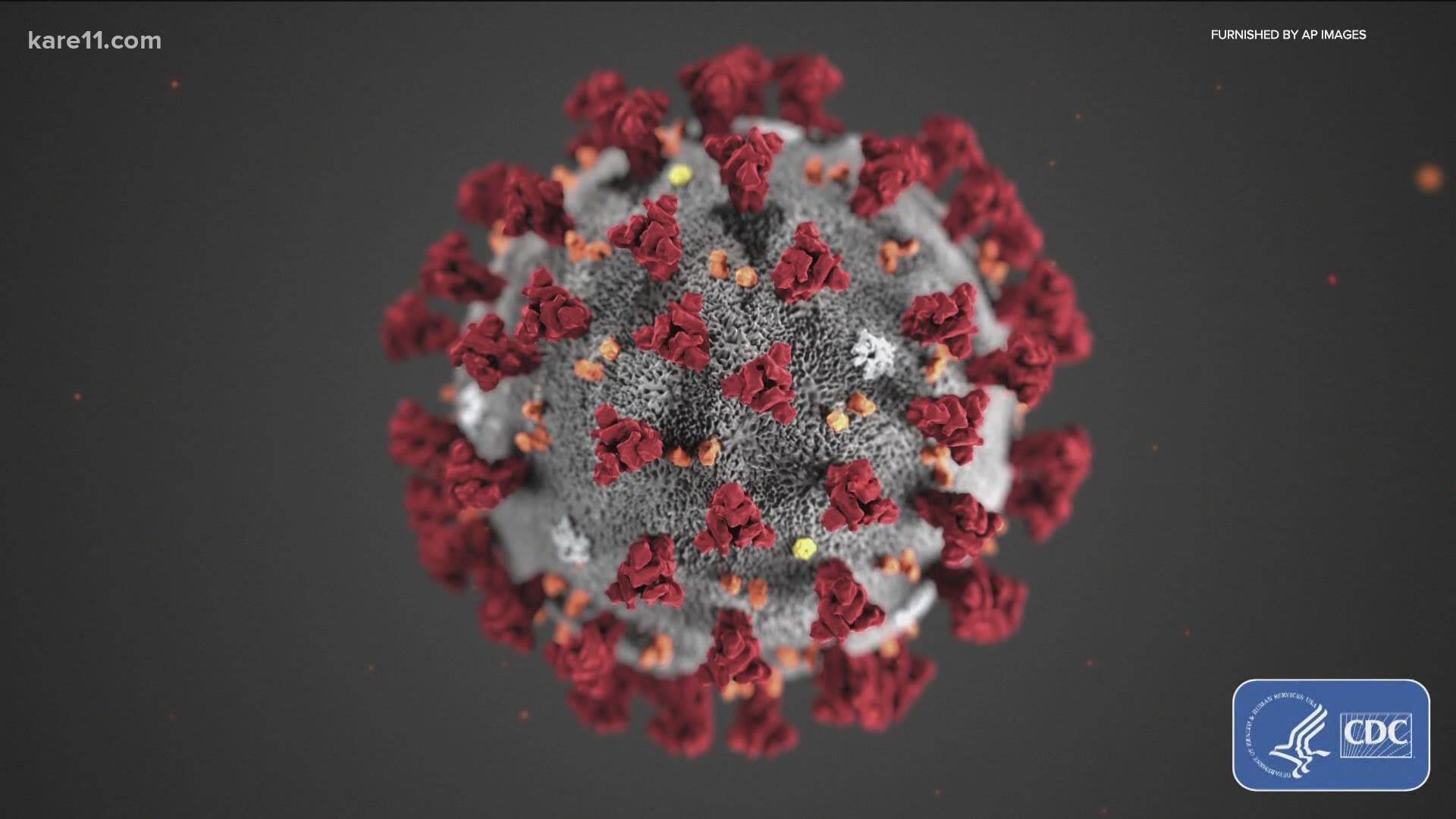 Researchers have discovered seven new coronavirus variants in the United States with similar mutations.