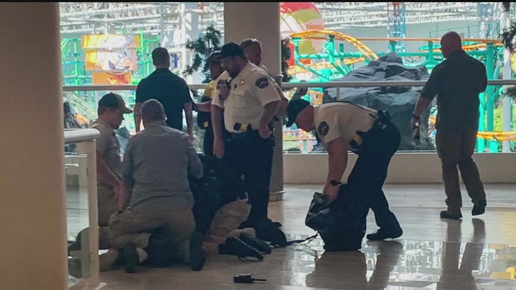 Mall of America suspect with rifle faces armed robbery charges