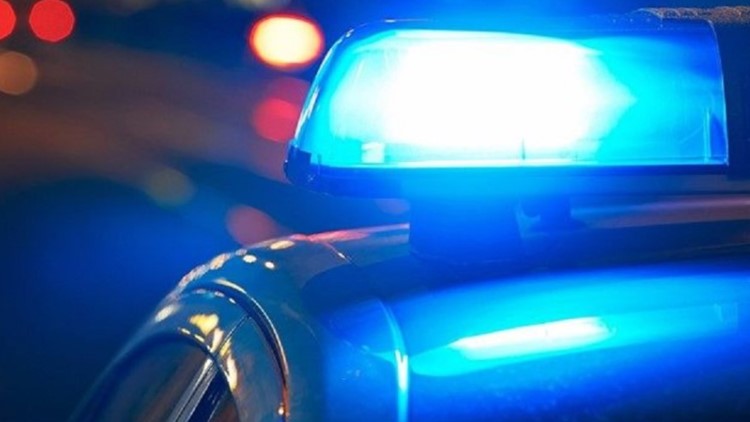 Motorcycle crashes into deer; 1 dead, 1 injured