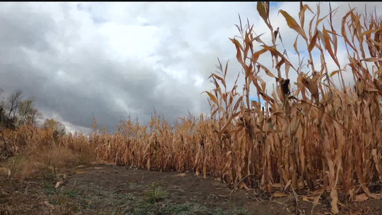 Minnesota DNR urging residents to conserve water amid extreme drought
