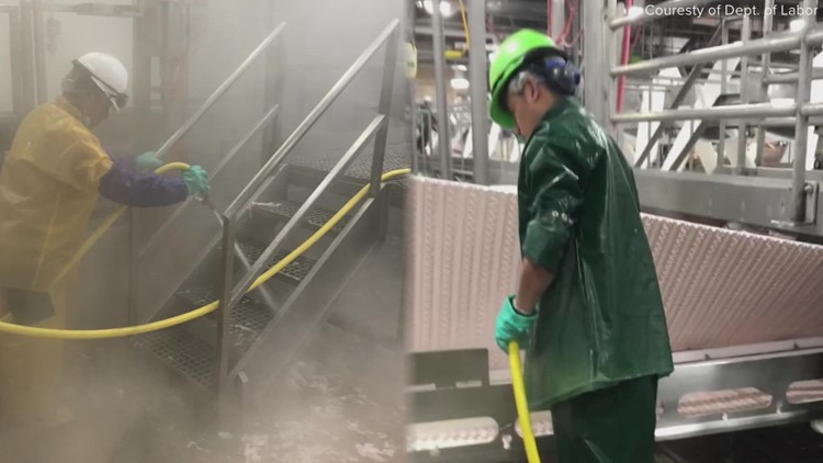 Judge orders slaughterhouse cleaners not to hire minors