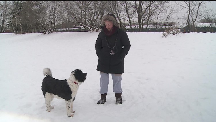Cold weather safety tips for people & pets as dangerous conditions linger