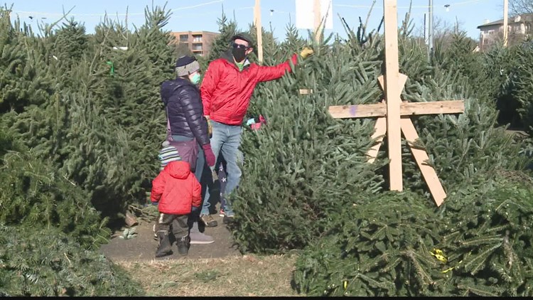 Disposing Christmas trees correctly after the holidays