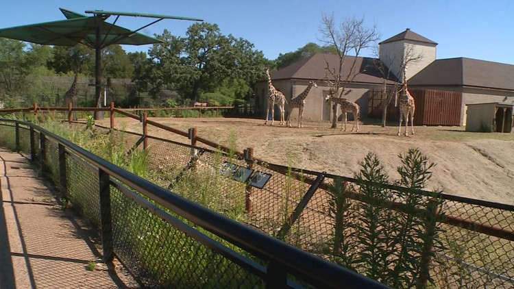 Como Zoo guests and staff evacuated after bomb threats
