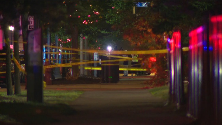 Violence in Dinkytown reignites safety concerns for University of Minnesota students and businesses