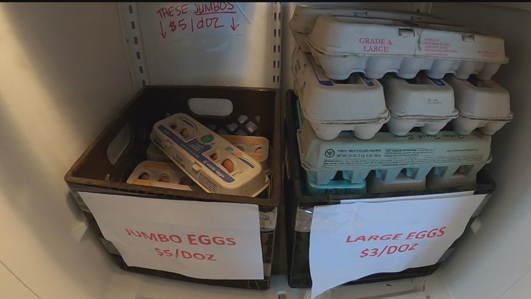 Egg farmer reacts to whether skyrocketing prices will fall