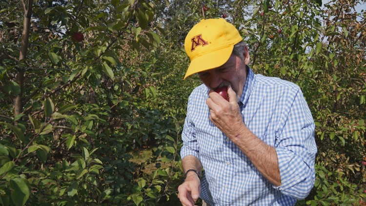 'Save the world from mediocre apples': How the U of M develops the next big apple