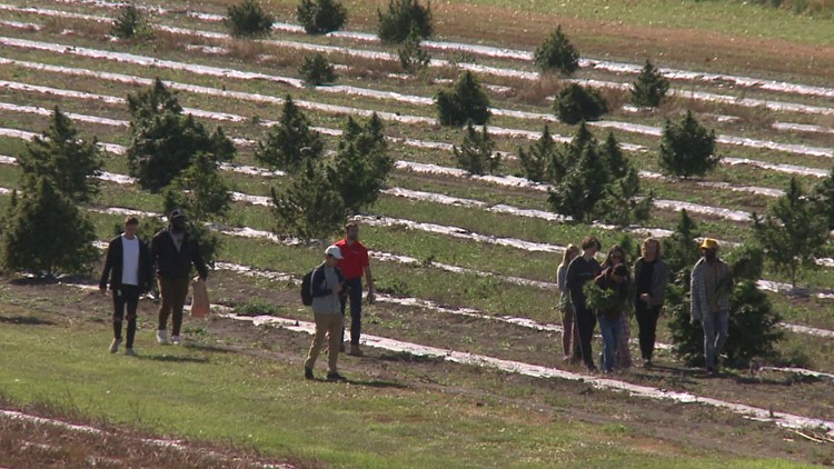 College students take educational tour of cannabis farm