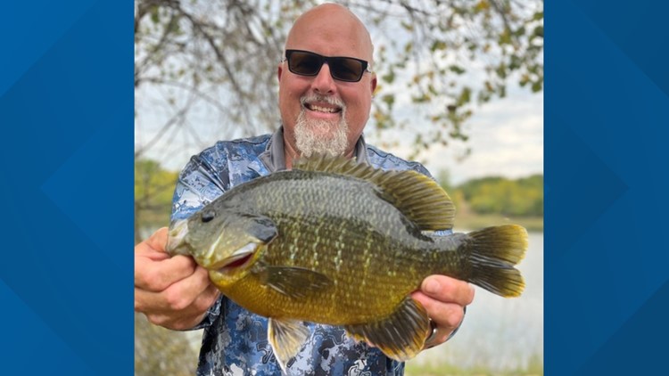 Record-tying hybrid sunfish caught in Kandiyohi County