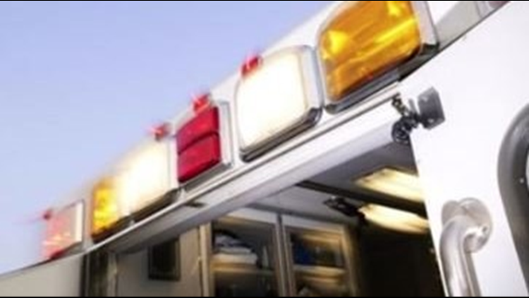Olivia man killed by falling tree branch