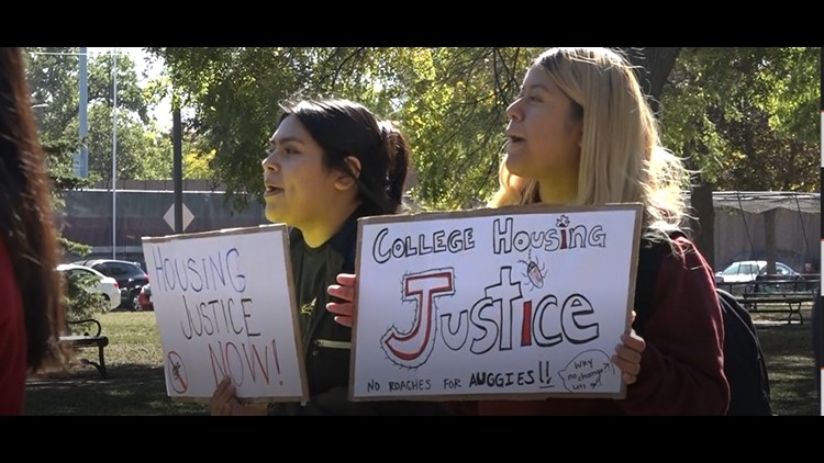 'You cannot stay in the shadows about this anymore' | Augsburg University students protest against 'unsanitary living conditions' in dorms