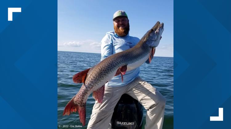 Minnesota man sets record with massive muskie
