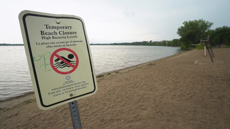Six beaches in Minneapolis close due to blue-green algae, E. coli