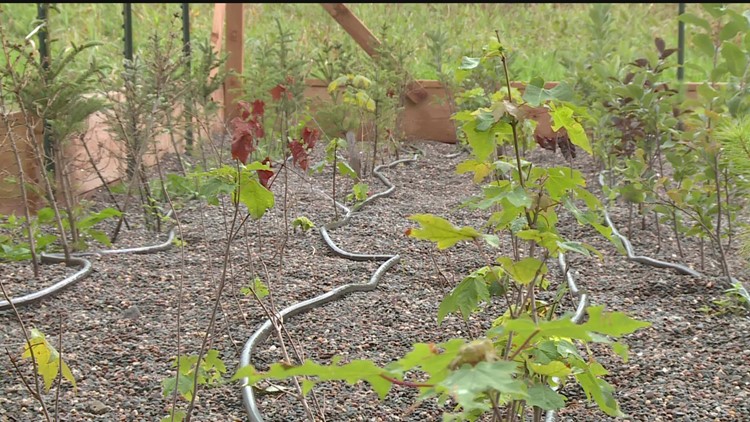Local nonprofit expanding efforts to help Native American community