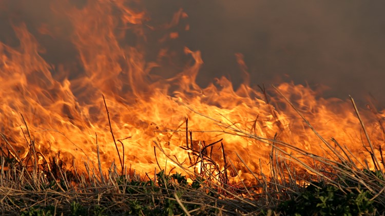 More than 40 Minnesota counties under Red Flag Warning, burning restrictions Sunday