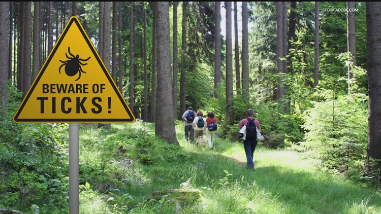 How to avoid ticks in Minnesota