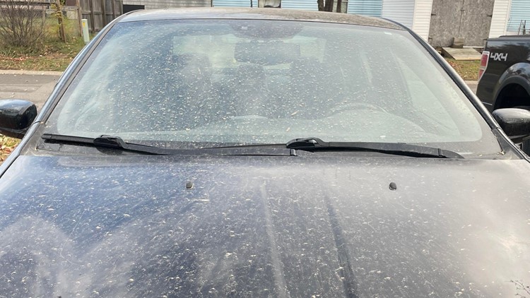 Woke up with a dirty car? Here's why