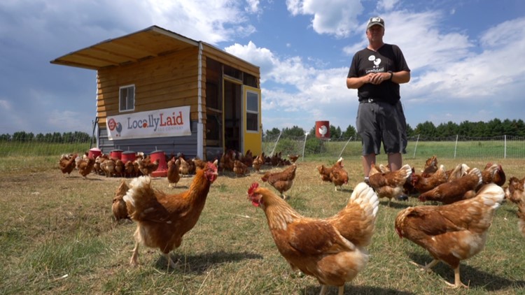 Website tool connects MN farmers with available land