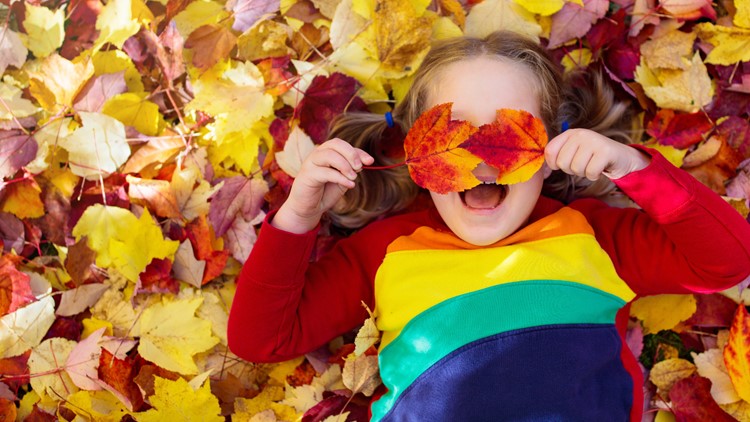 Fun ideas for families as the kids celebrate a long MEA weekend