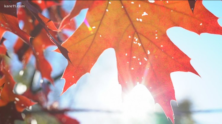 Minnesota Fall Color 
Report is off and running