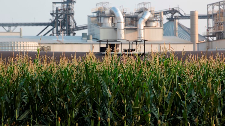 EPA seeks to mandate more use of ethanol and other biofuels
