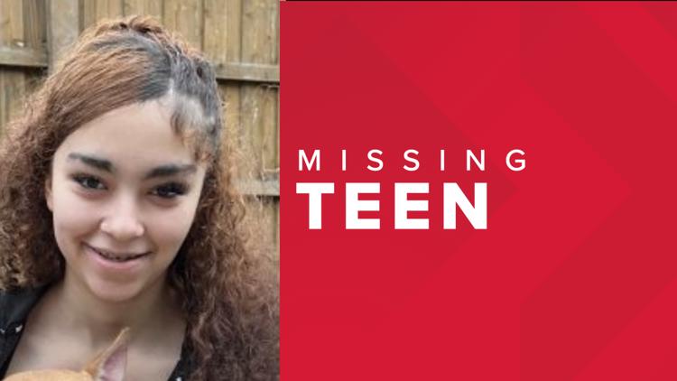 St. Paul Police searches for missing teen