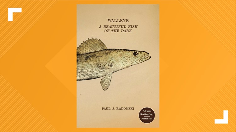 Get to know Minnesota's state fish in a new book about walleye