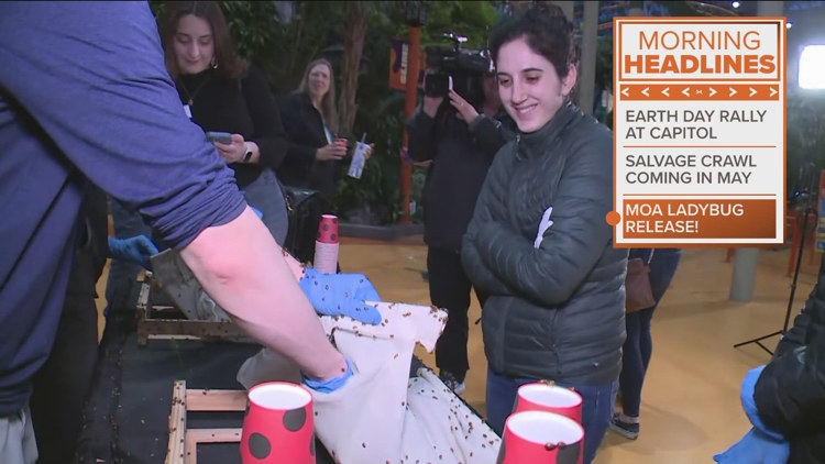 Mall of America releases 144,000 ladybugs for Earth Day