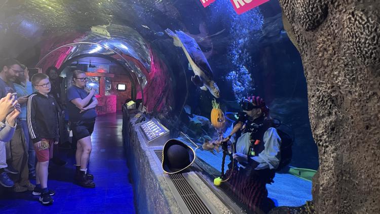 Underwater pumpkin carving is back at Mall of America