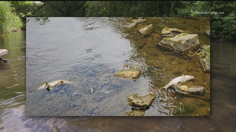 Study: Climate change will make MN fish kills much more likely...and complicated