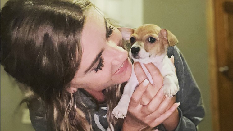 Secondhand Hounds hosting puppy snuggle event