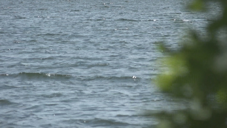 Cuts to CDC drowning prevention team draw concern