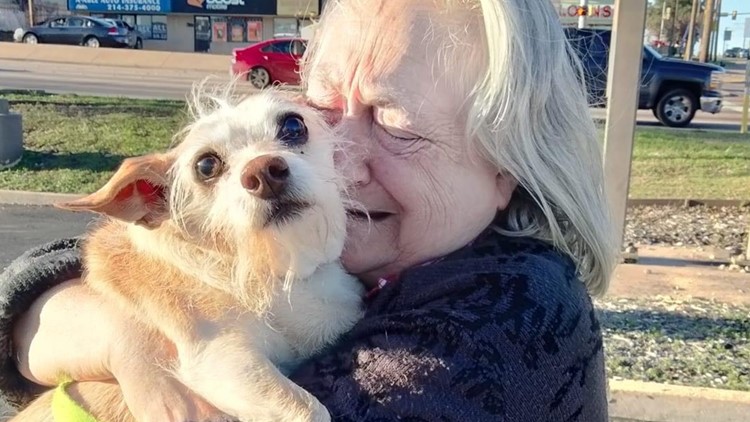 Dog named 'Baby Girl' reunited with owner after trip from Minnesota to Texas