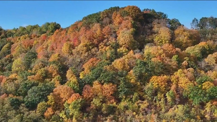Enjoy fall colors at Minnesota state parks