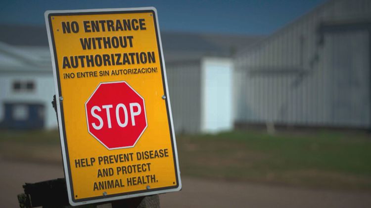 Avian Influenza cases continue to affect farms across Minnesota, Wisconsin