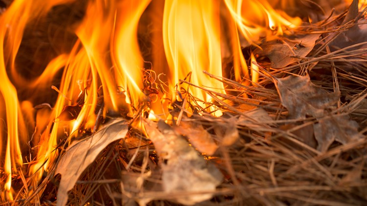 Forestry crews battling two large fires in the Cherokee National Forest