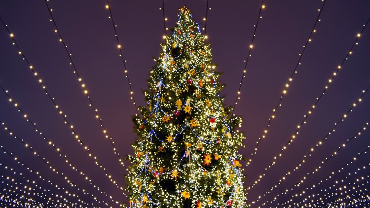 Holiday happenings across the Mid-South | Things your family can do this Christmas season