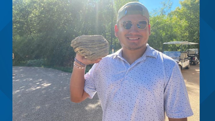 Man makes rare discovery; finds fossilized mammoth tooth near hiking trail