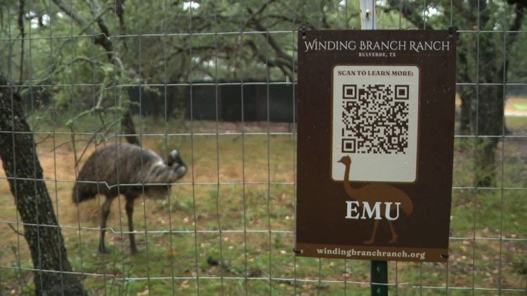 Bulverde animal sanctuary prepares for flooding during busy fall season following July damage
