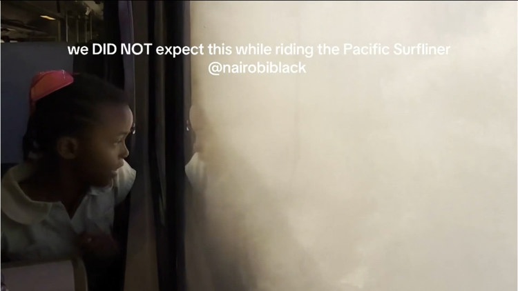 Concerns over El Niño threatening the beloved Pacific Surfliner