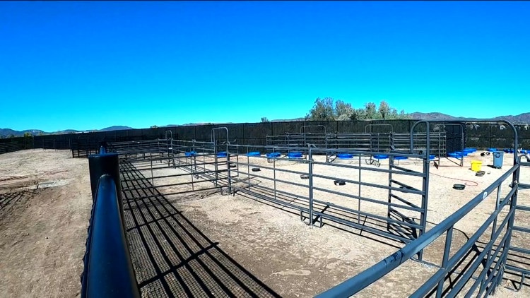 San Diego County opens $37M animal shelter in Santee to replace aging Bonita facility