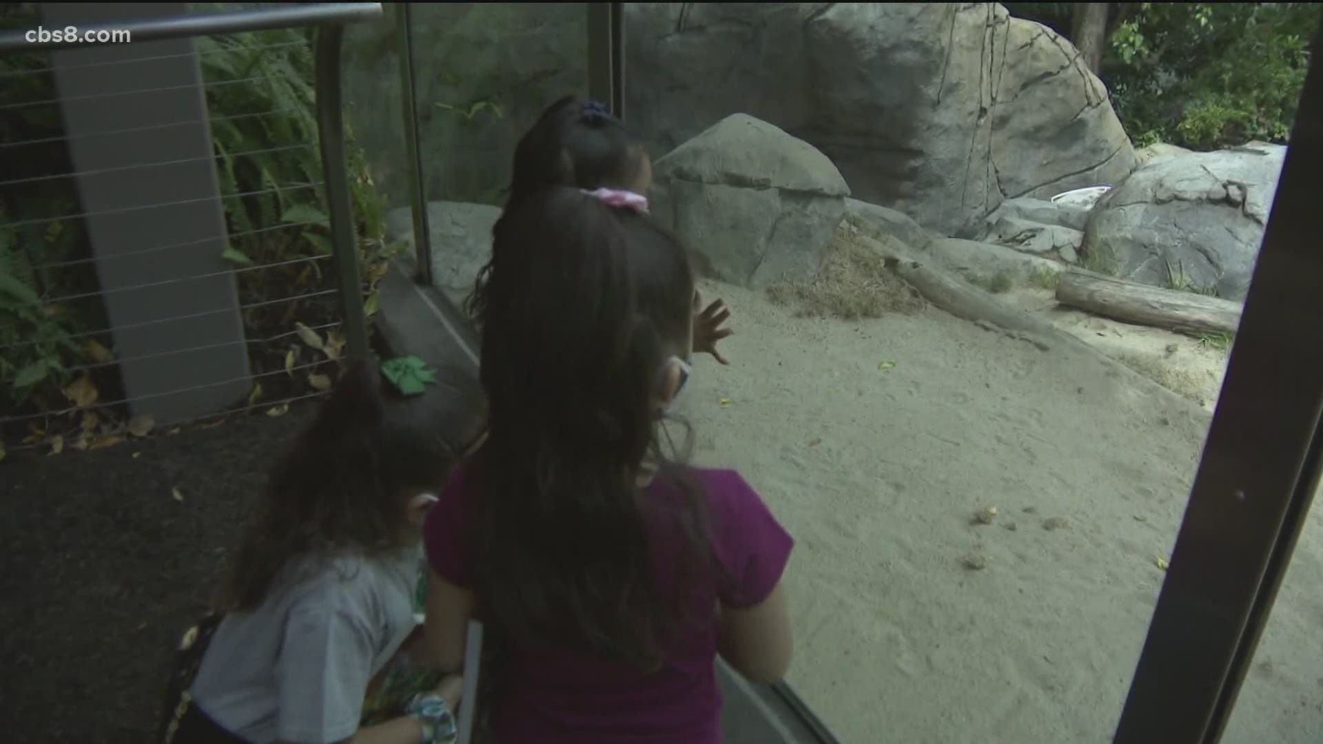Here's what you need to know before you hit the zoo.