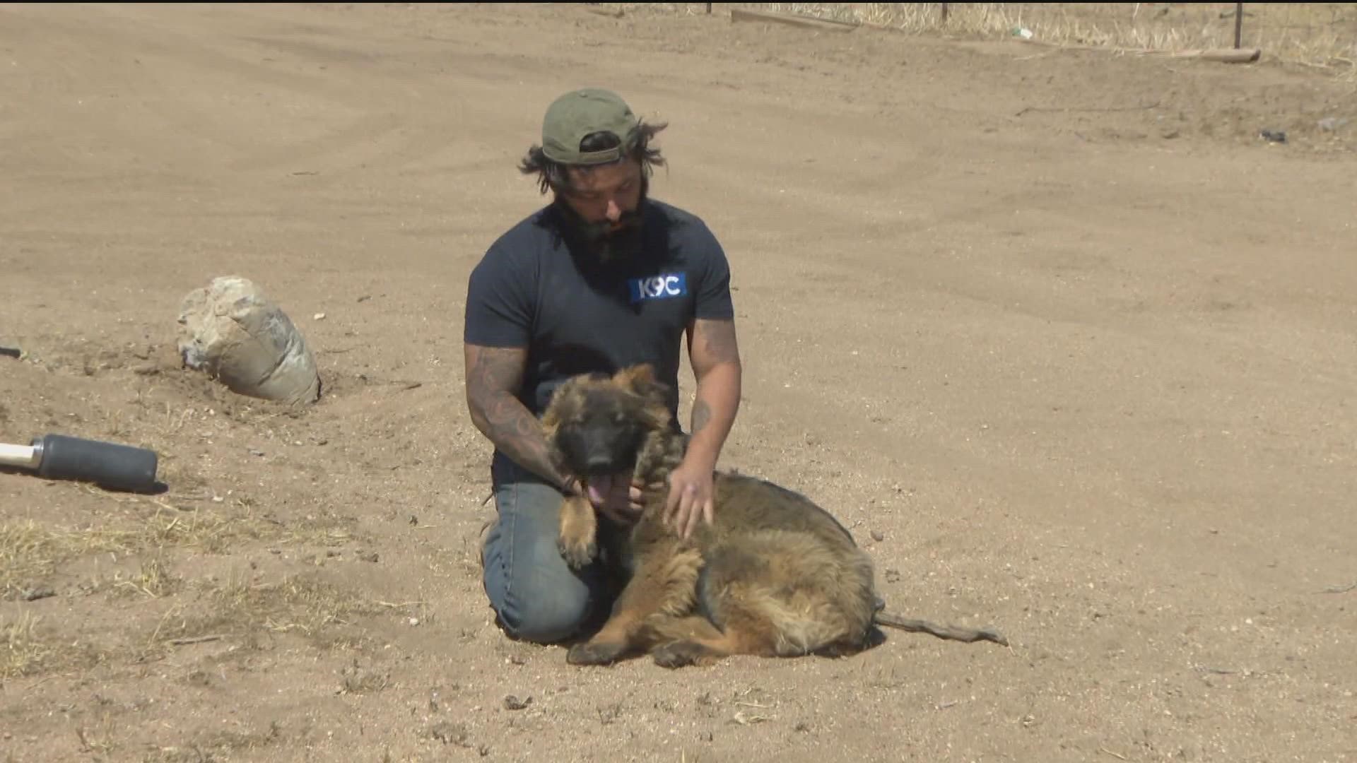 CBS 8 showed you last month, Jimenez in Ukraine since late February, working to get these police and military trained K-9's out of the war-torn area.