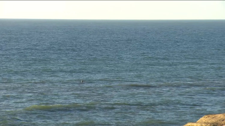 California to see sudden sea level rise this fall due to El Niño