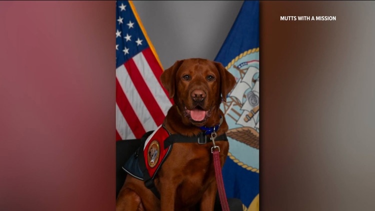Meet Captain Fathom, the dog who deployed with the USS Abraham Lincoln