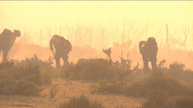 Thorn Fire | Forward spread stopped, evacuations remain active for brush fire in Southeastern San Diego County